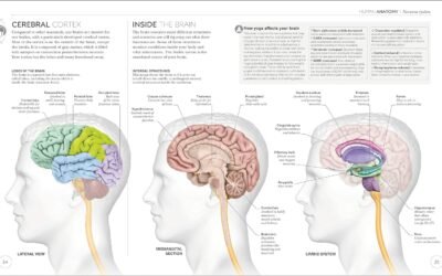 5 Best Yoga Books for beginners