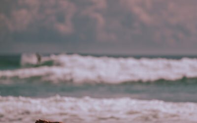 Meditation With Incense