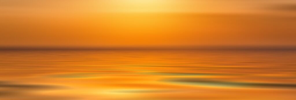 Mindfulness Muscle Mindfulness Muscle