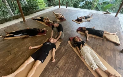 The Ultimate Nervous System Retreat in Bali: 7 Day Nervous System Connection Retreat Review